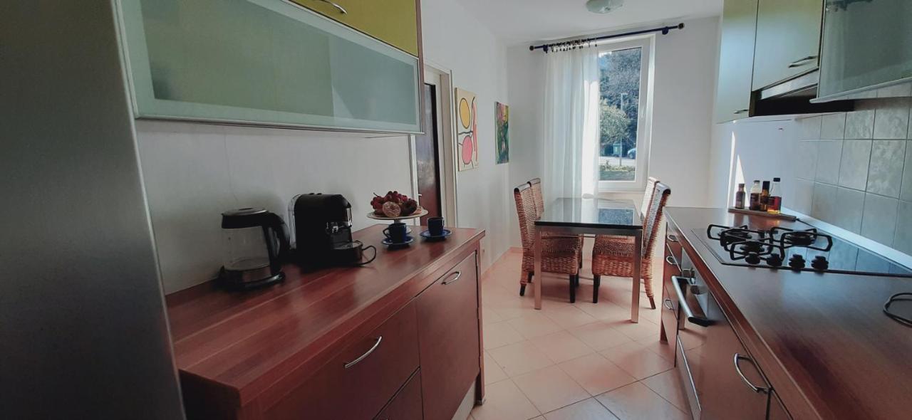 Apartament Tree House *